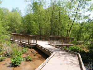 landscape design