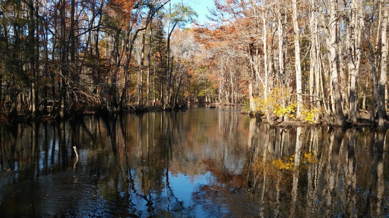 Edisto River